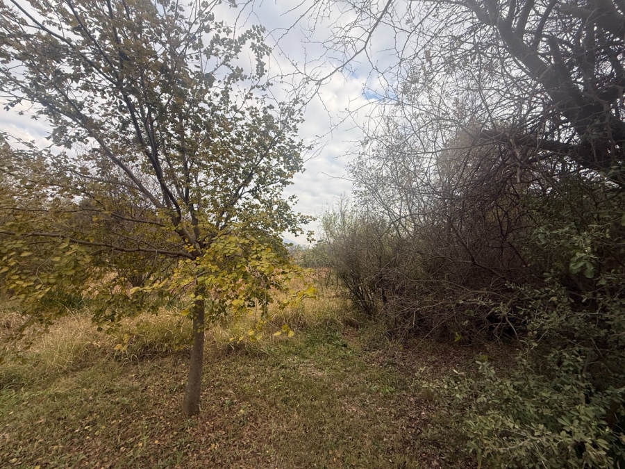 Commercial Property for Sale in Meerhof North West